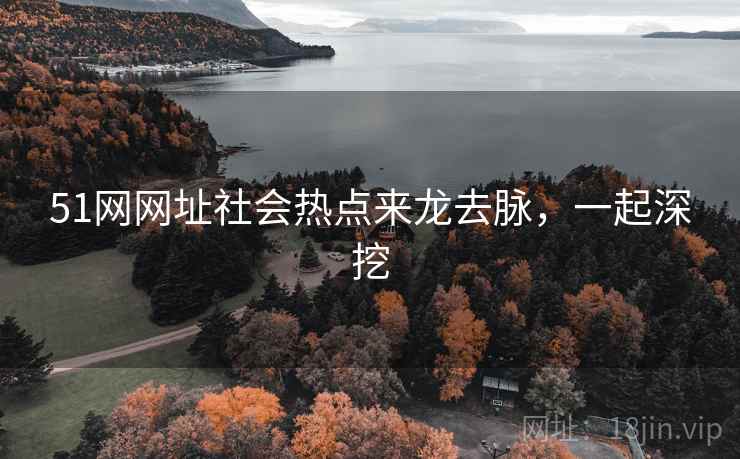 51网网址社会热点来龙去脉，一起深挖