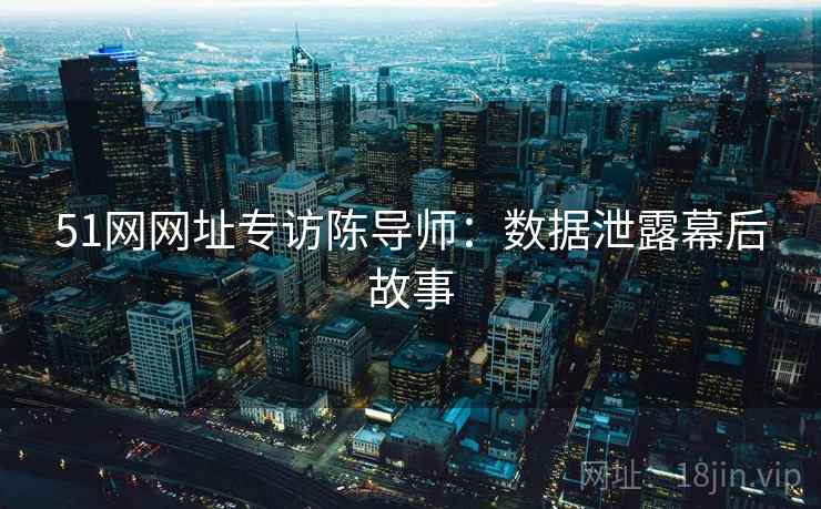 51网网址专访陈导师:数据泄露幕后故事