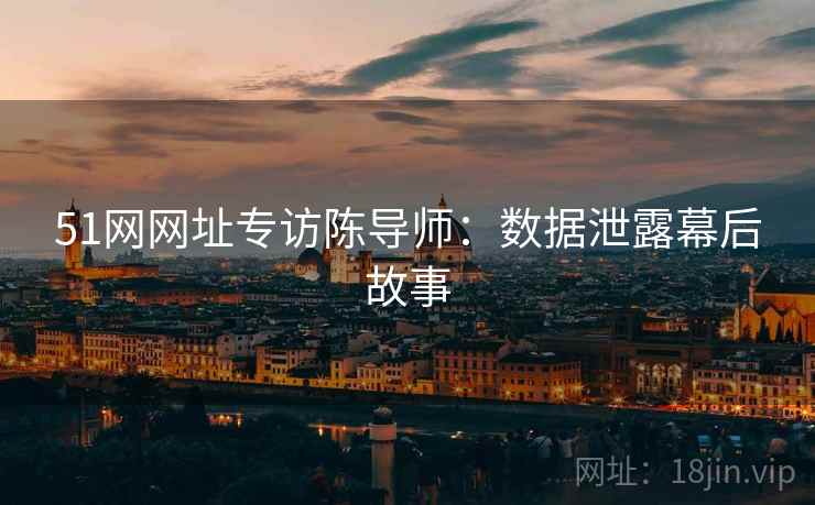 51网网址专访陈导师：数据泄露幕后故事