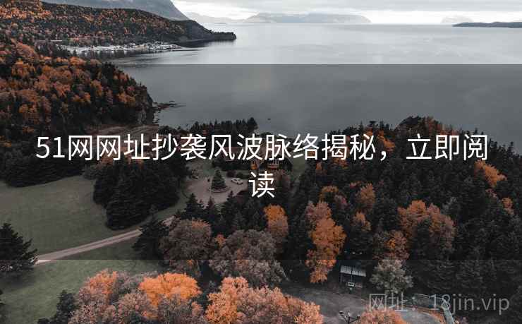 51网网址抄袭风波脉络揭秘，立即阅读