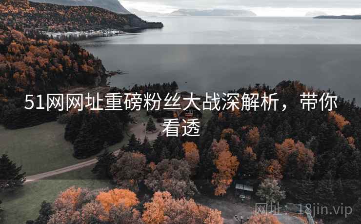 51网网址重磅粉丝大战深解析，带你看透