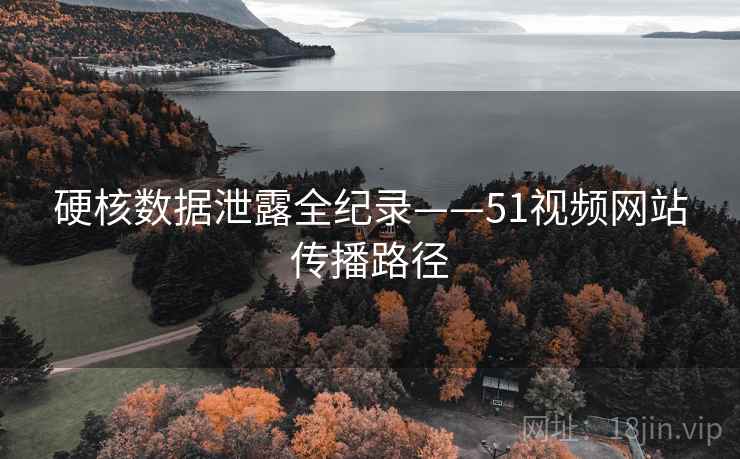 硬核数据泄露全纪录——51视频网站传播路径 硬核数据泄露全纪录——51视频网站传播路径