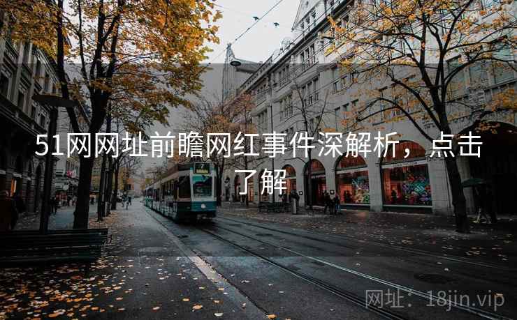 51网网址前瞻网红事件深解析，点击了解